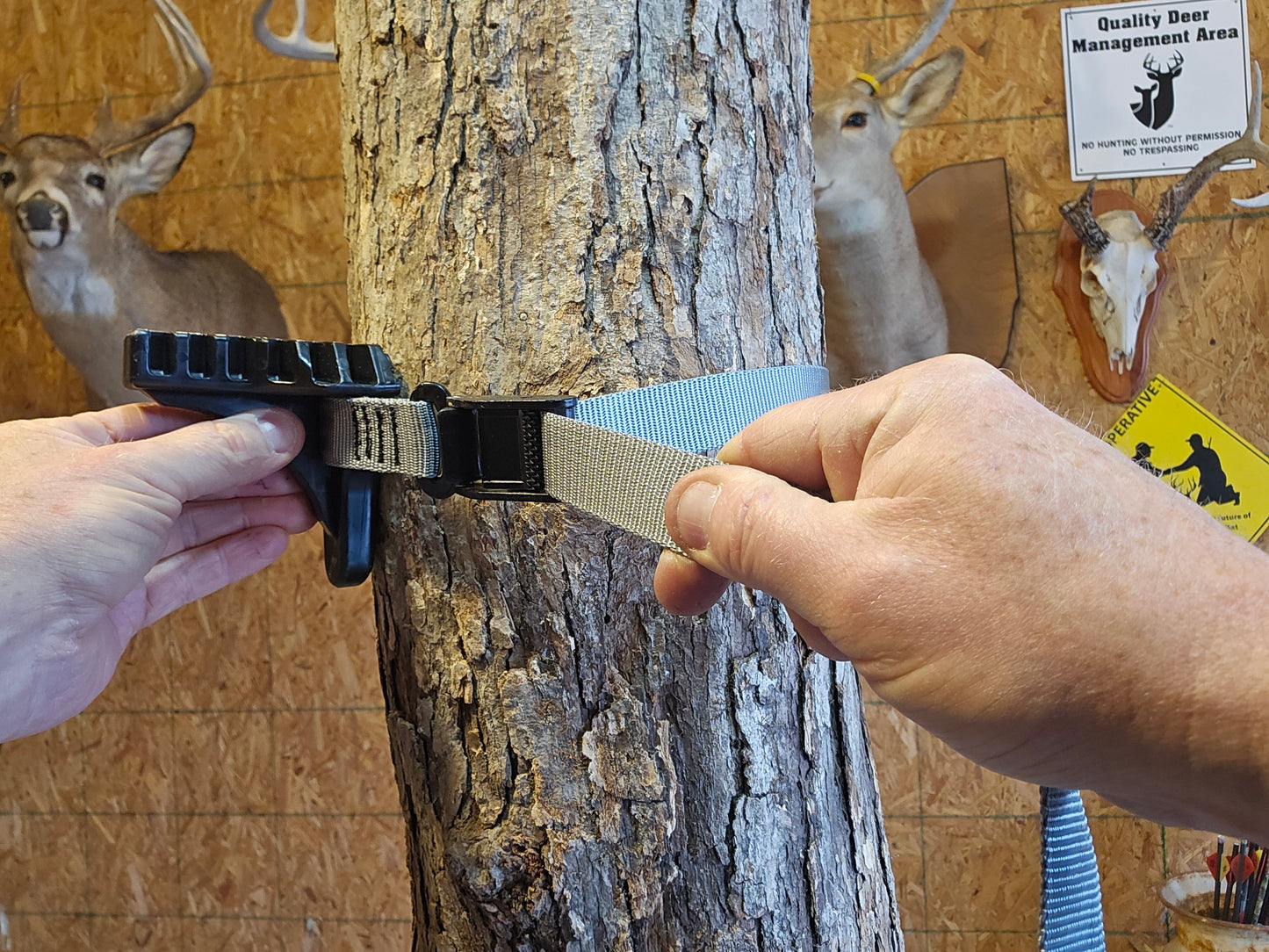 Flat Hook and Cam Buckle Straps